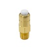 Fitvell Thermal Release Valve for Pressure Washer Pump, 1/4 Inch