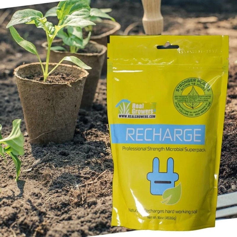 Real Growers Recharge - Mycorrhizae Instant Compost Tea/Soil Microbes 8