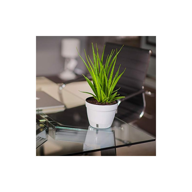 Maceta de autorriego Asti, Jardín, Mentol/Blanco, 7.9