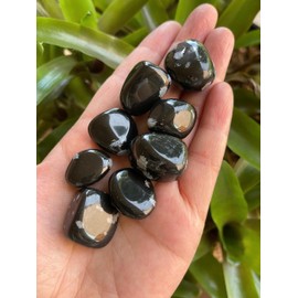 GAF TREASURES Wholesale Snowflake Obsidian Tumbled Stones, Polished Natural Snowflake Obsidian Gemstone, Snowflake Obsidian Healing Crystals (Snowflake Obsidian, 1 Pound)
