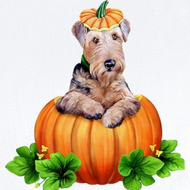 CafePress Dale O Lantern Infant Bodysuit Cute Infant Bodysuit Baby Romper Cloud White