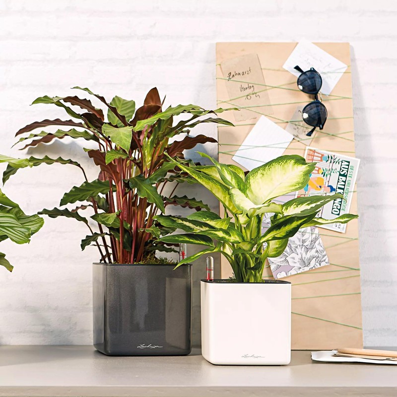 Lechuza Cube - Glossy, High-Quality Plant Cube with Stick Irrigation