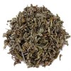 Bridge Herb (Medicinal Korean Herb) Wormwood / Artemisia absinthium (약쑥