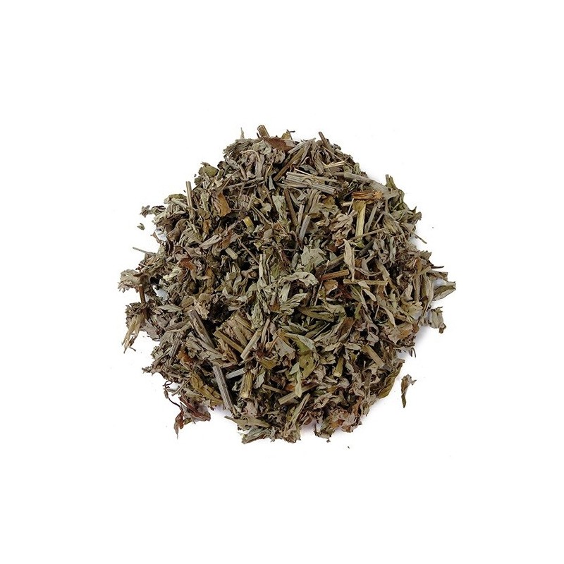 Bridge Herb (Medicinal Korean Herb) Wormwood / Artemisia absinthium (약쑥