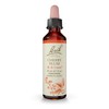 Bach Original Flower Remedies, Cherry Plum - Be in Control