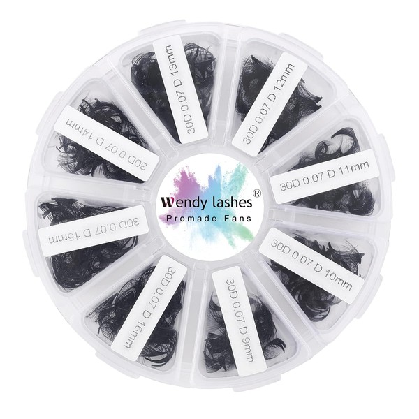 Premade Volume Fan for Eyelash Extension: 500 Handmade Fans, Loose