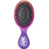  Wet Brush Shimmering Sky Mini Detangler Fantastic Dusk Wet