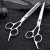 Premium Stainless Steel Beauty Scissors for Bangs Thinning and Cutting Regular Thinning Scissors 10ea
