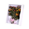 Shadow Box Display Case,1.2" Deep Wooden Picture Frame for Dried
