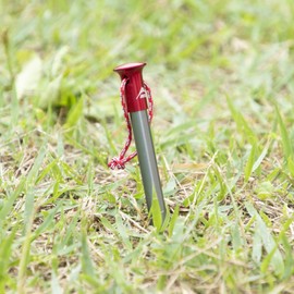 MSR 37612 Outdoor Carbon Core Stake