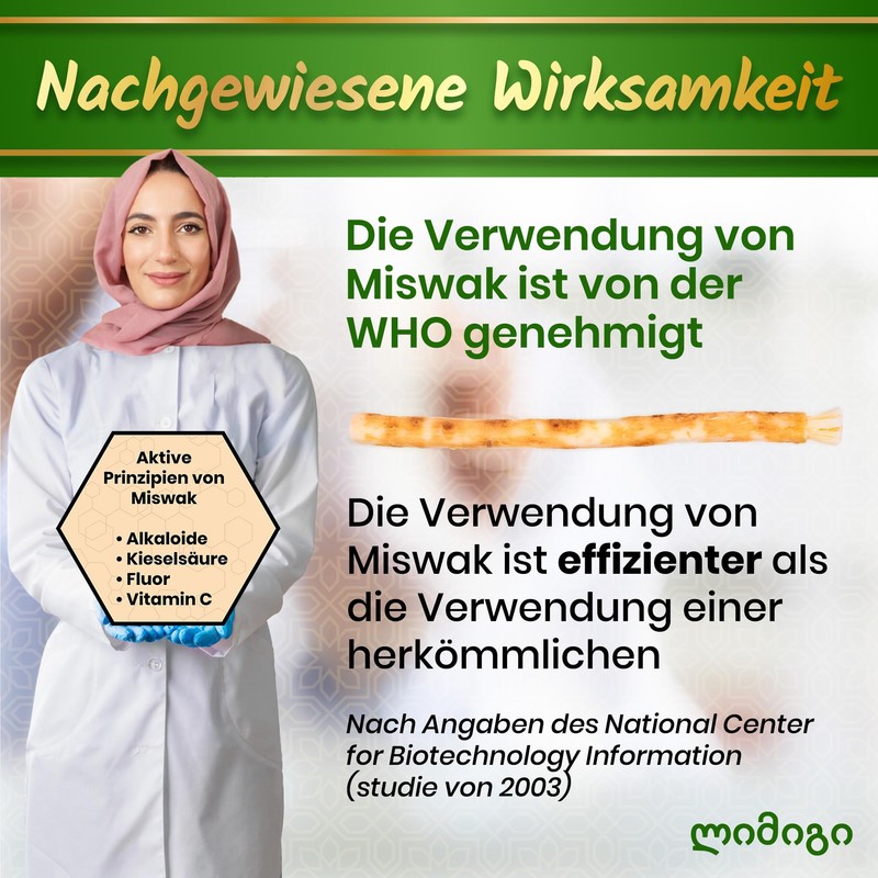 Modogo Siwak Sticks, Pack of 5