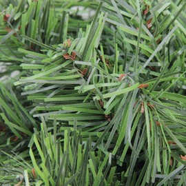 Northlight Canadian Pine Mini Artificial Christmas Wreath, 12-Inch, Unlit