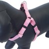 Rosewood Harness, Medium, Pink