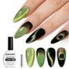 16.5 mL 9D Chameleon Cat Eye Gel Polish with Magnet,
