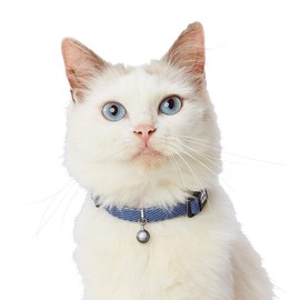 ADD. MATE Cat Collar, Soft Skip Cat Color Blue