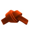 RingMaster Sports Grading Belts 9 Plain Colour for Karte Judo
