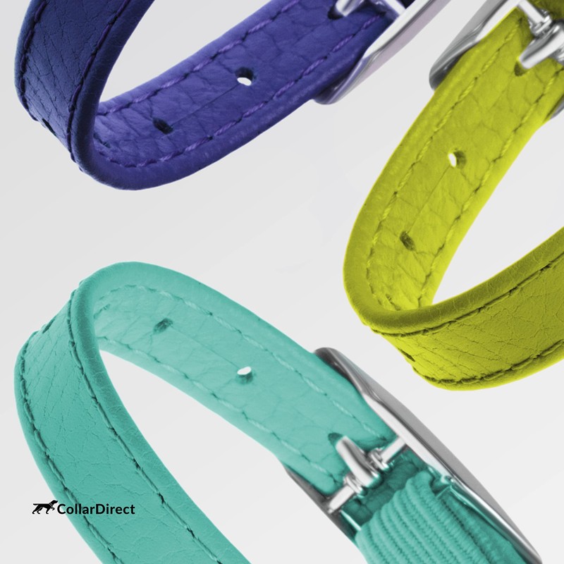 CollarDirect Leather Cat Collar with Safety Clasp, 21.5 cm, Lime