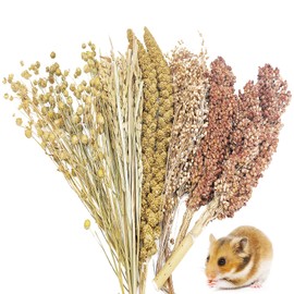 Fhiny Natural Hamster Sprays Edible Hamster Bedding Air-Dried Grain Set for Habitat Decor Mice Cage Accessories for Gerbils Lemmings Parrots Rats and Other Small Animals（0.4lb）