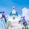 Hybrid & Company Women Skye Eau De Parfum Natural Spray