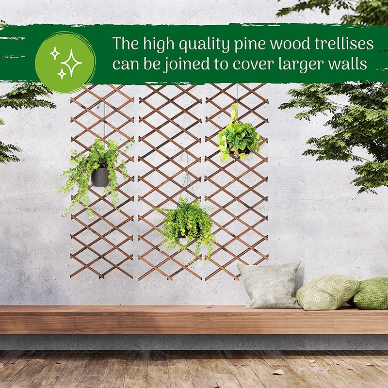 Expandable Plant Climbing Lattices Extensible Pine Fence Plant Support for