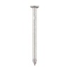 TIMCO Galvanized Round Wire Nail - 100 x 4.50-1kg Bag