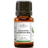 Organic Globular Eucalyptus Essential Oil - MY COSMETIK - 10ml