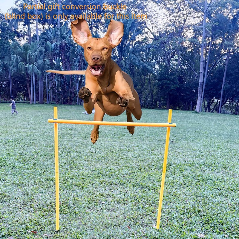 Dog Agility Equipment, Agility Poles, Dog Jumps, Outdoor Obstacle Course