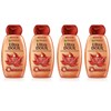 Garnier Ultra Soft Shampoo for Intensive Repair of Maple Wood