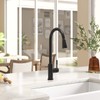 Kitchen Faucet with Pull Down Sprayer High Arc Single-Handle Faucets
