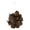 Maca Negra Peruana Entera Orgánica De Primera Calidad 100gr