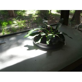 Ovject O-IKEBANA30-LO Flower Vase, Flower Base, Flower Base, Hollow Iron, Black, 11.8 inches (30 cm)