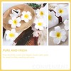 Pack of 20 Hawaiian Flower Hair Clips, Artificial Plumeria Hair