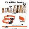 Dog Shock Collar Replacement Strap, Compatible with Peture Jugbow Bousnic