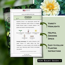 Sow Right Seeds - Isabellina Zinnia Seeds for Planting - Non-GMO Heirloom Packet to Plant & Grow an Outdoor Home Flower Garden - Fast Growing Pastel Yellow Blooms to Cut and Come Again - Annual (4)