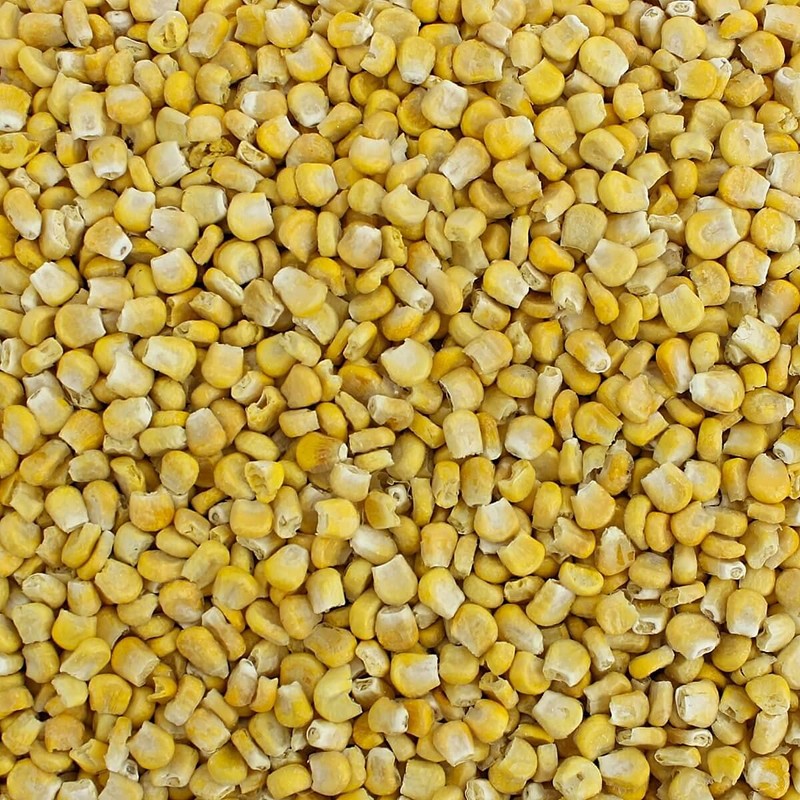 Premium Sweet Corn Freeze-Dried - 100% Natural, Healthy Snack, 8