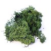 INERRA Finland Moss - Dark Green - Reindeer Moss Craft