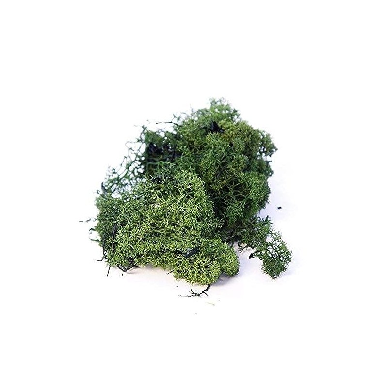 INERRA Finland Moss - Dark Green - Reindeer Moss Craft