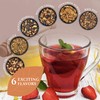 Prime Tea - Fruit Tea Sampler Set - Assorted Variety