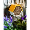 Evergreen Garden Busy Bee Hexagonal House - 8 x 4