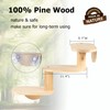 Cat Window Ladder 3-Levels for Indoor Cats Climbing Wood Window