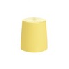 Medela Cap to Breast Milk Bottle