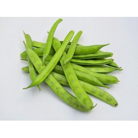 30 Cluster Beans Seeds, Non-GMO, Heirloom, High Yield for Canadian Gardens