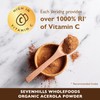Sevenhills Wholefoods Organic Raw Acerola Powder 200g, Natural Vitamin C