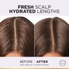 L'Oréal Paris L'Oreal Paris Elseve Hyaluron Pure 72H Purifying Shampoo