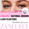 Lash CLusters Wispy Eyelash Clusters Natural Lash Extensions C Curl