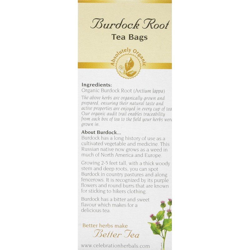 CELEBRATION HERBALS Burdock Root Tea, 24 CT