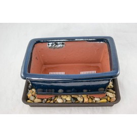 8" Rectangular Dark Blue Bonsai Pot, Cactus & Succulent Planter + Tray + Rock + Mesh Combo (768-8DB COM)