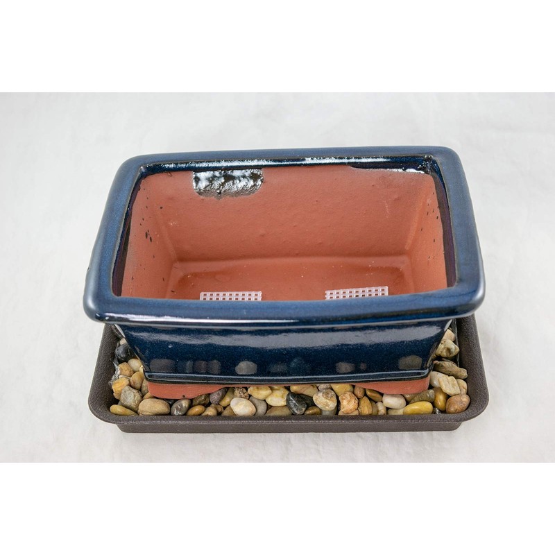 8" Rectangular Dark Blue Bonsai Pot, Cactus & Succulent Planter