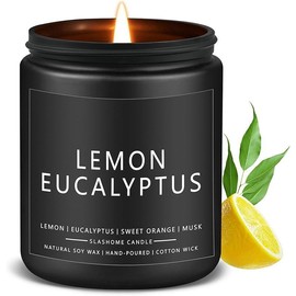 Outdoor Candles Set, 4 Pack Scented Candles for Summer, Scents of Citronella/Lemongrass/Lemon Eucalyptus/Sage & Citrus, Soy Candle for Outdoor Indoor Home Patio or Garden, Summer Camping Candle Gifts - Scent: Lemon Eucalyptus, Size: Single Summer Candle