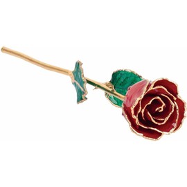 PRECIOUS STARS Gold Dipped Rose 24K Real Flower, 12 inch Long stem, 24k Gold Plated Real Rose, Gifts for Mom, Birthday Gift for Women, Mothers and Valentines Day, Rose for Anniversary (Ruby Lacquer)